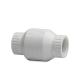 1" SPRING FLAPPER CHECK THREADED