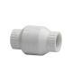 4" SWING CHECK VALVE THREADED