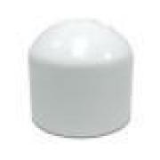 2 1/2" CAP SLIP